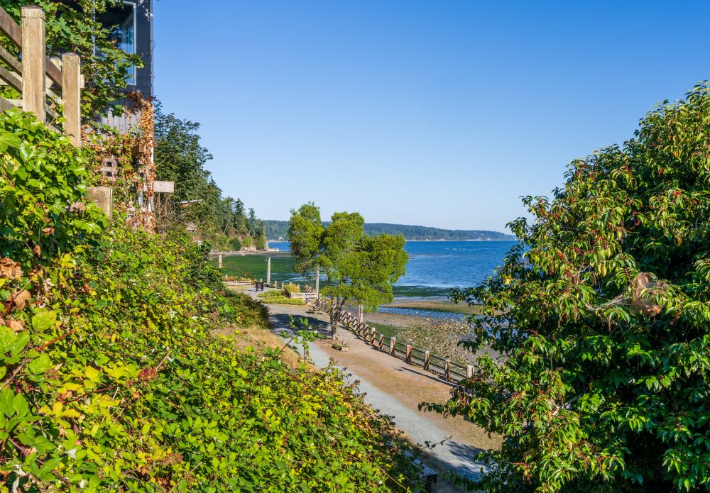 whidbey Langly small